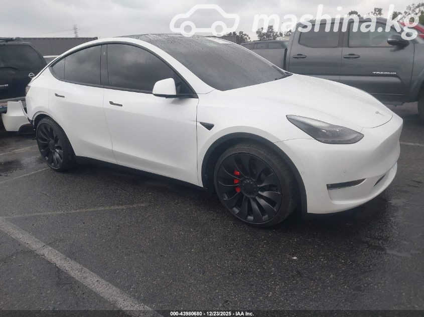 Tesla Model Y I