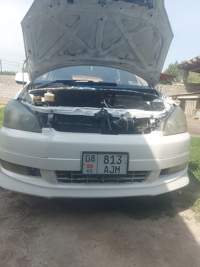 Toyota Ipsum