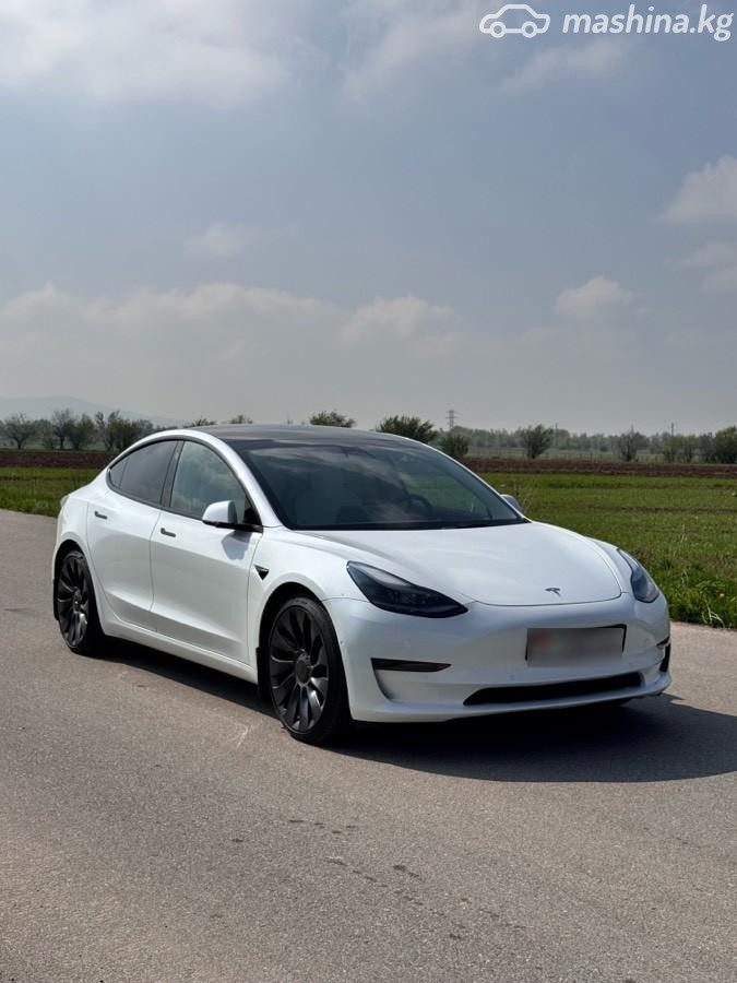 Tesla Model 3 I