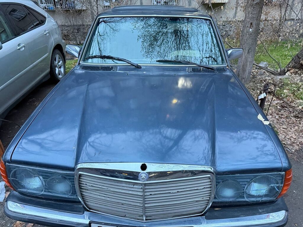 Mercedes-Benz W123