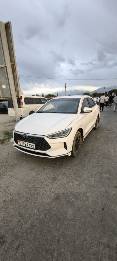 BYD E2