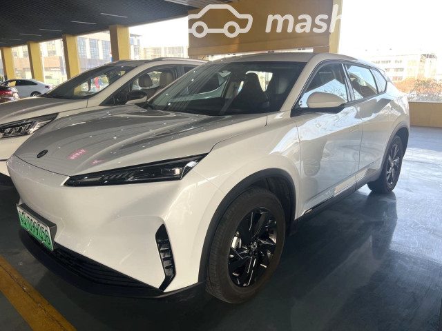 Dongfeng Sky EV01