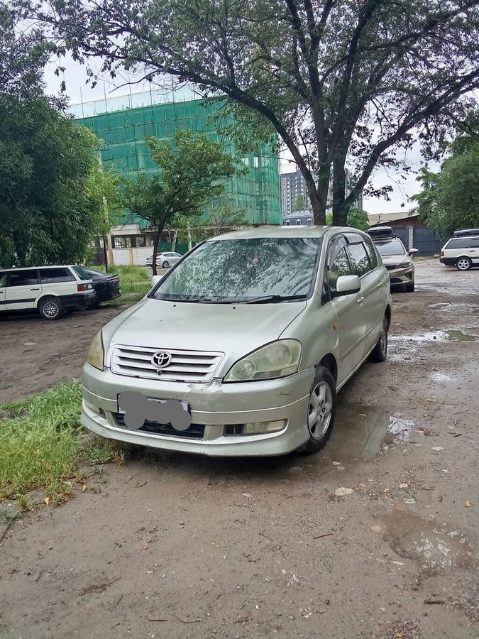 Toyota Ipsum