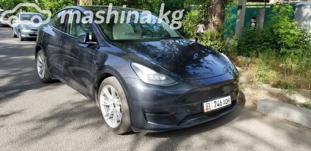 Tesla Model Y I