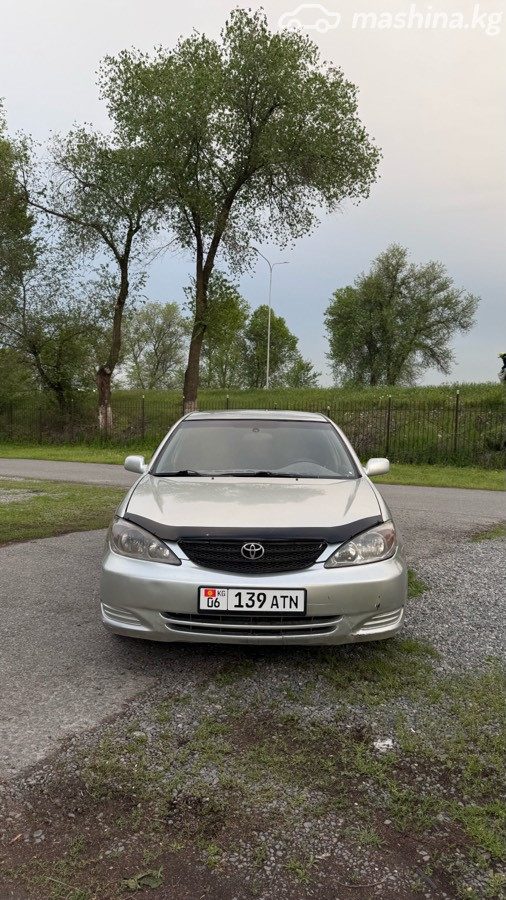 Ещё фото