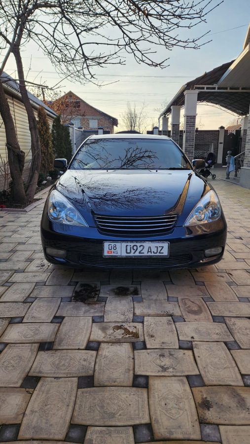 Toyota Windom