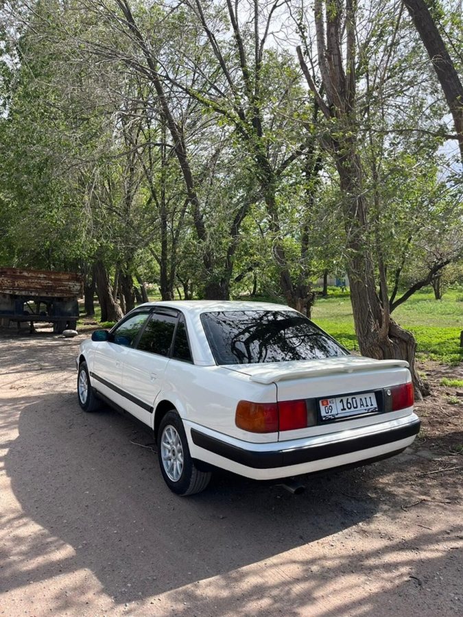 Audi 100