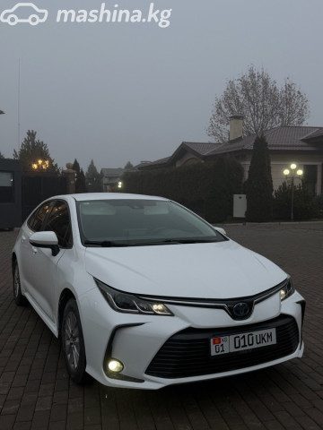 Фото 3
