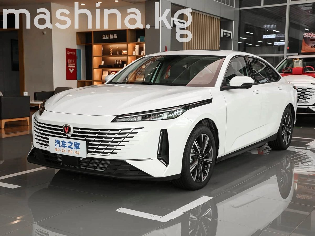 Changan Yida 2023