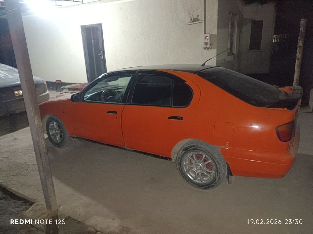 Фото 4