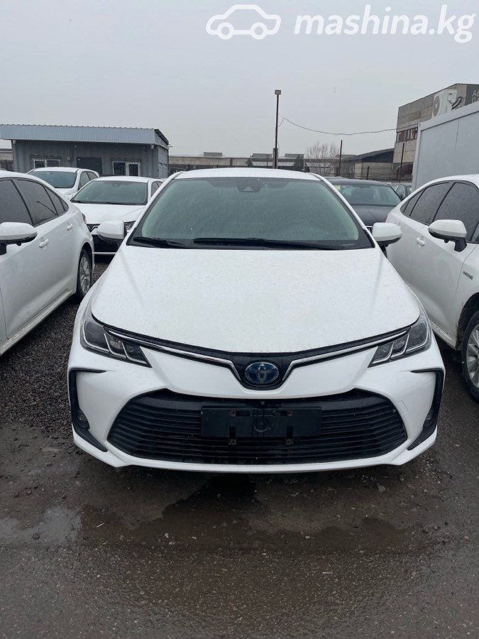 Фото 2