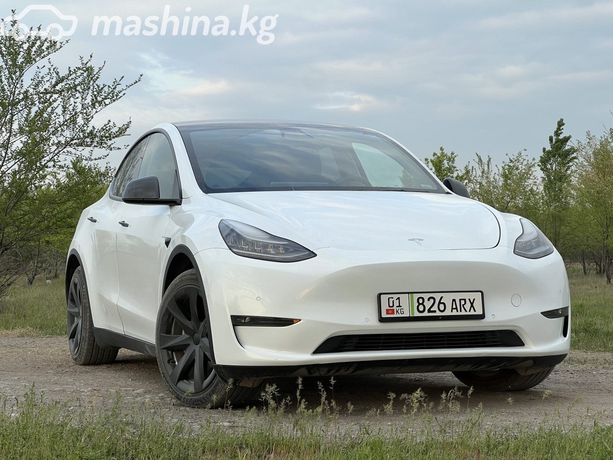 Tesla Model Y I