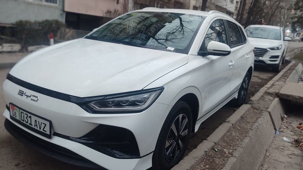 BYD 