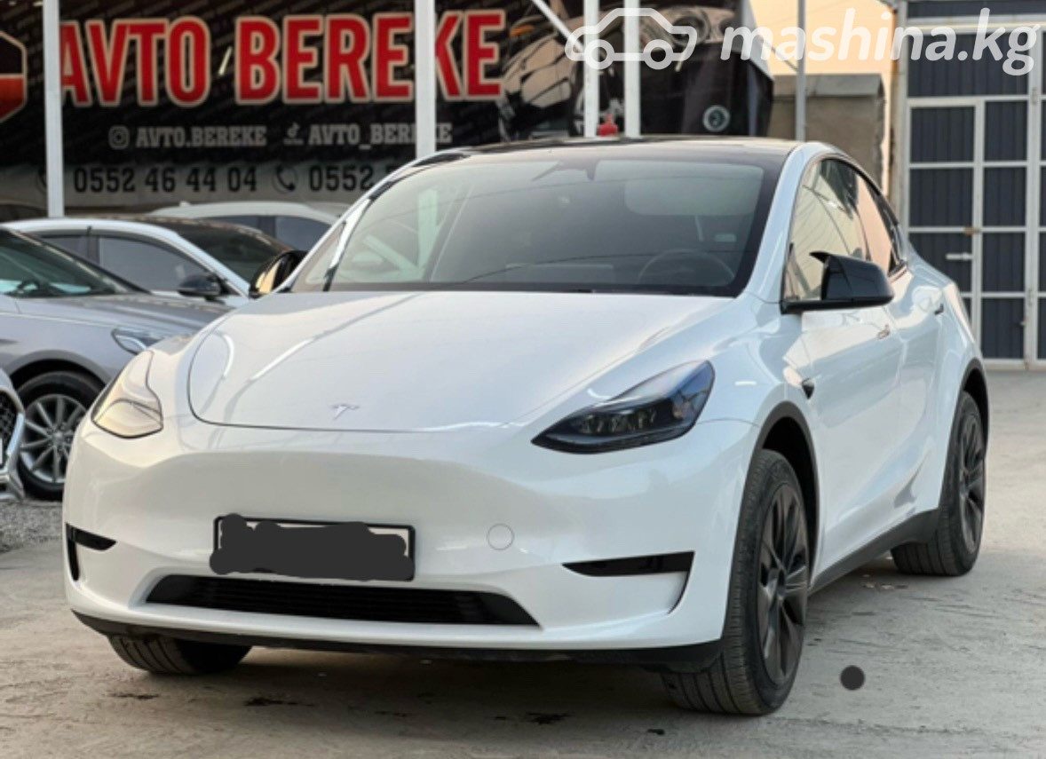 Tesla Model Y I
