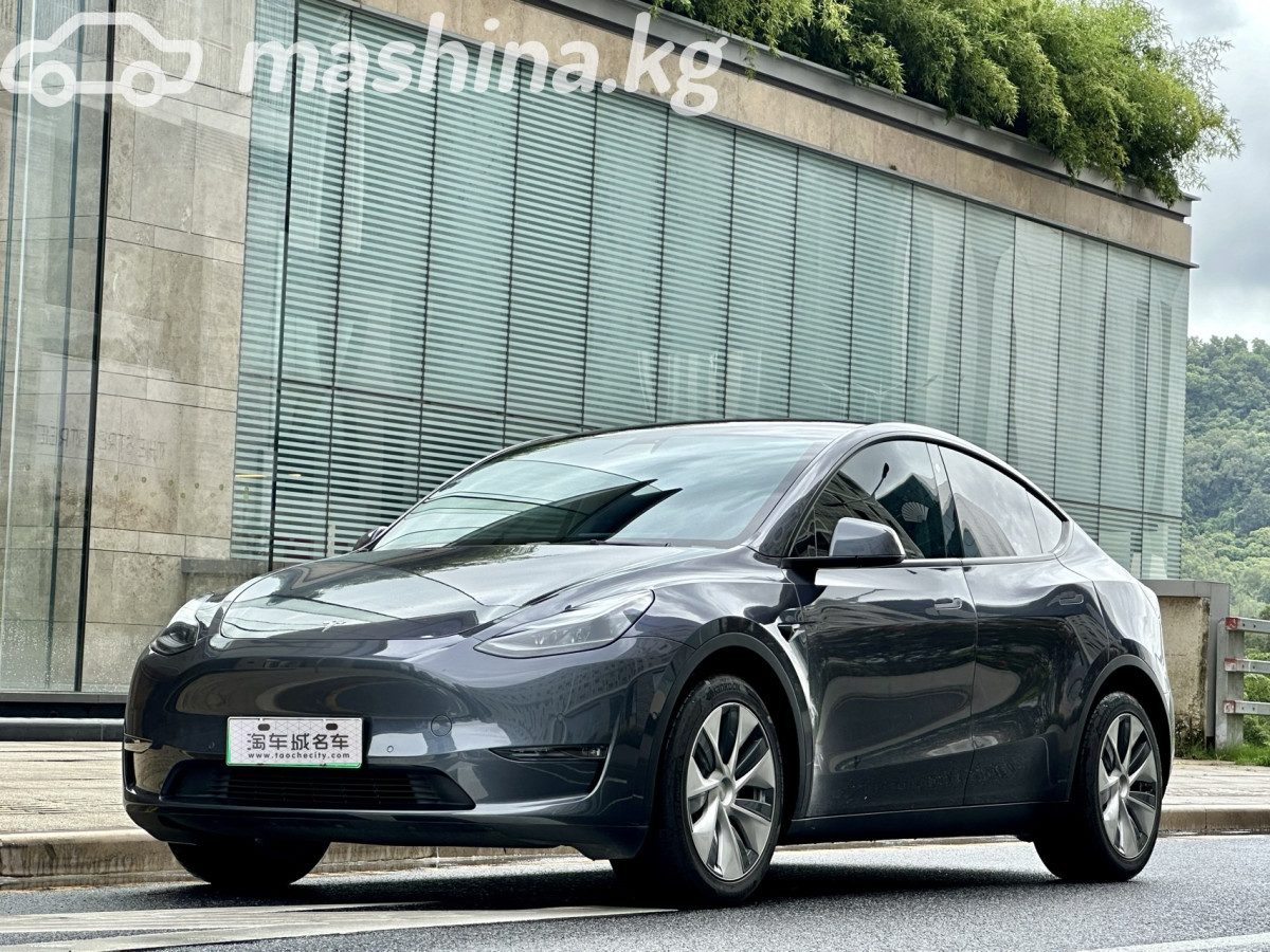 Tesla Model Y I