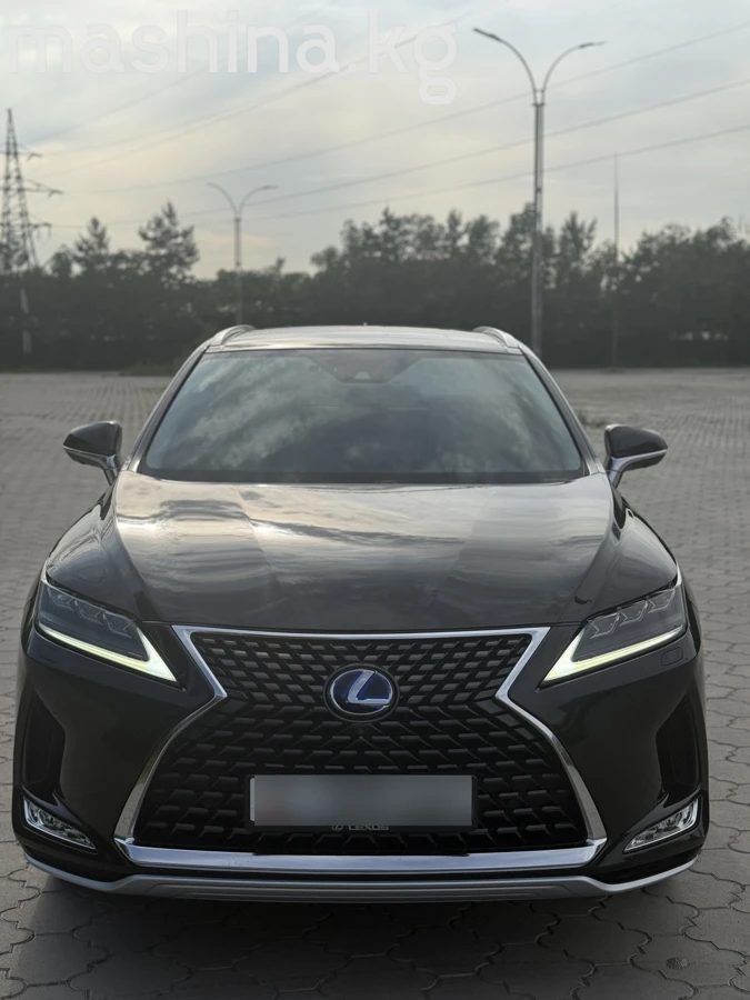 Фото 2