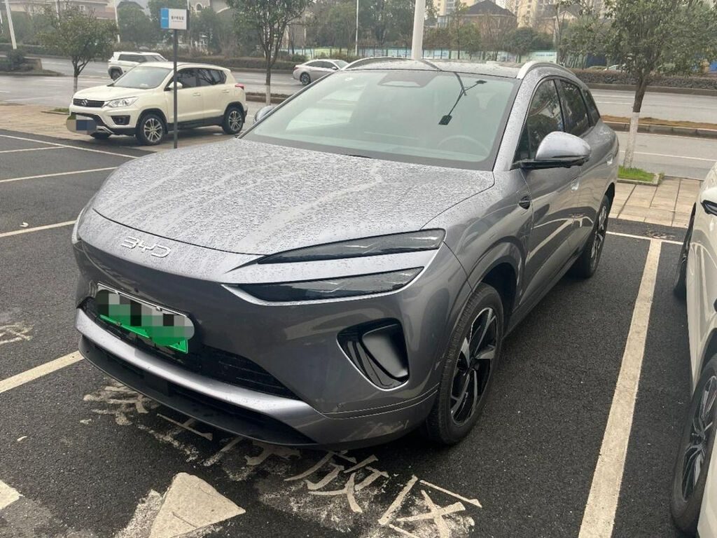 BYD Sea Lion 06