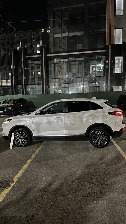 Weltmeister EX5 I 2020