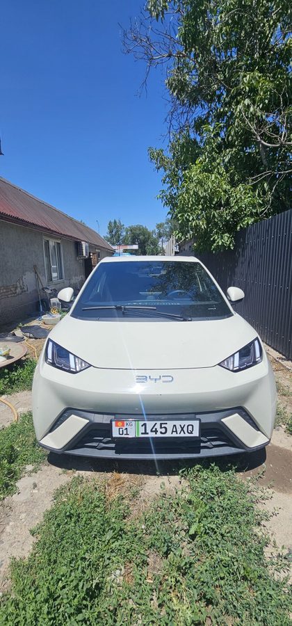 BYD E2