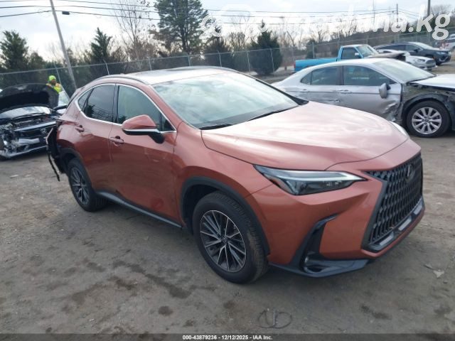 Lexus NX II