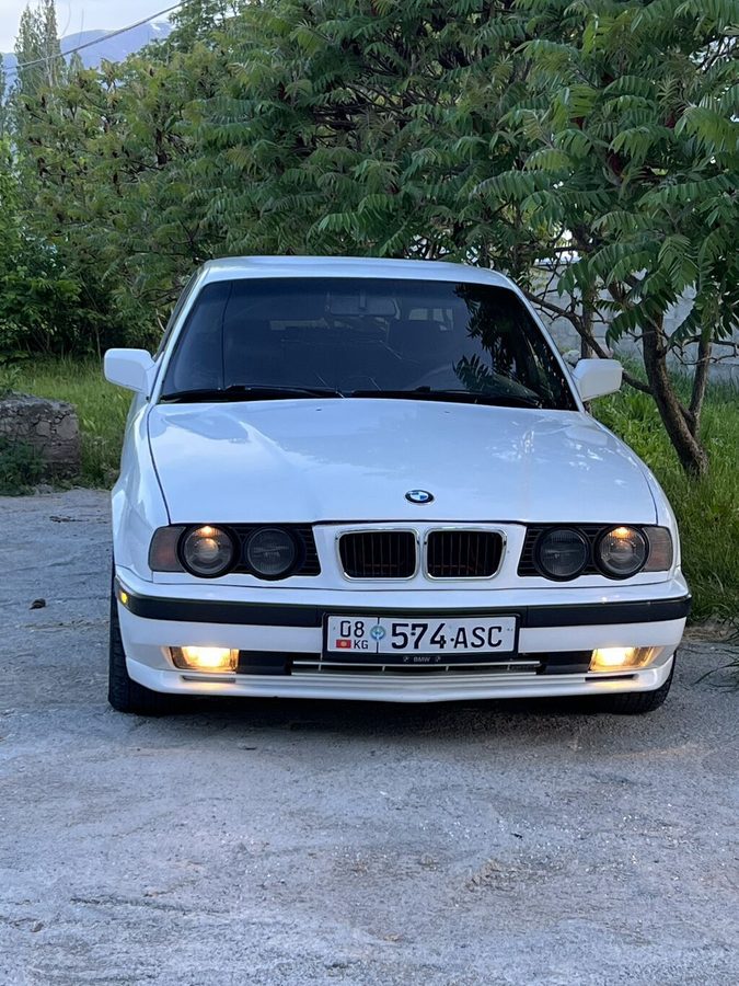 Фото 4