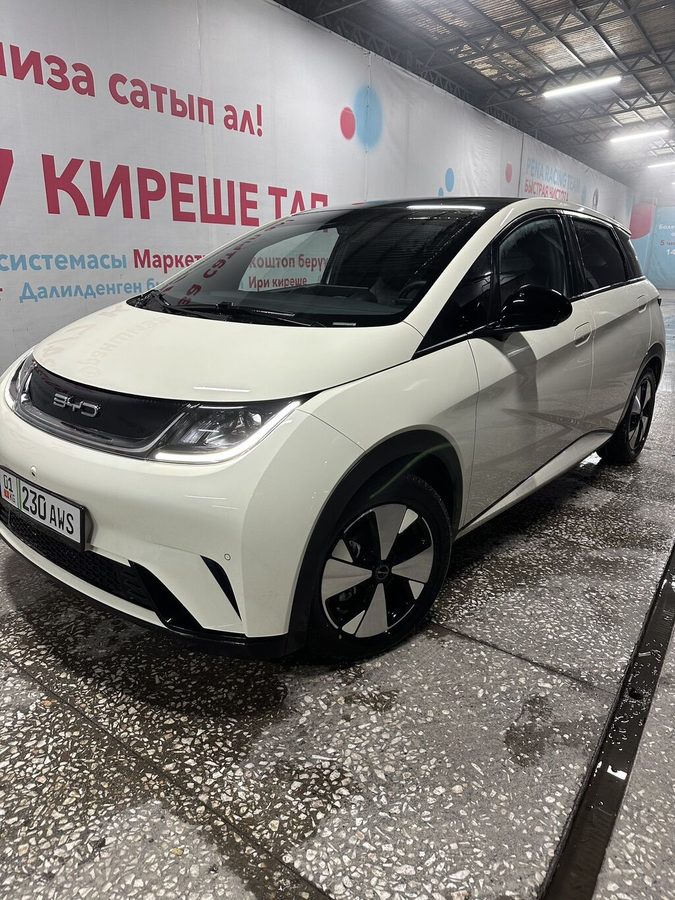 BYD Dolphin
