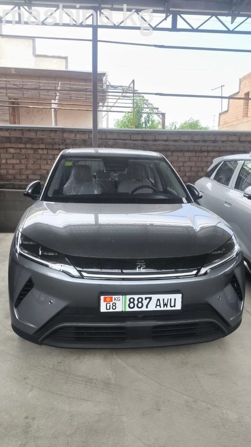BYD Yuan Up 2025