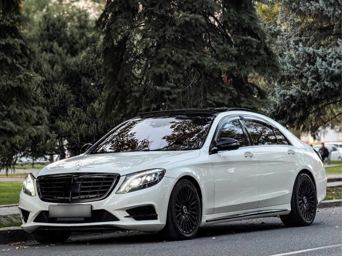 Mercedes-Benz S-Класс VI (W222, C217)