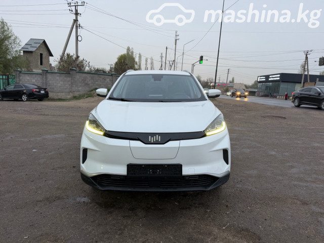 Weltmeister EX5