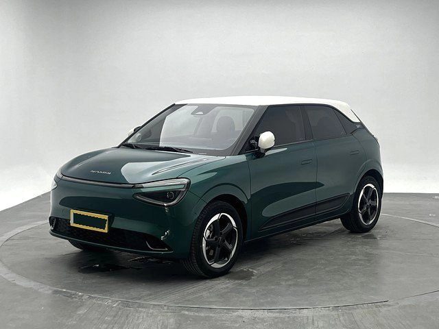 Dongfeng Nammi 01 2025