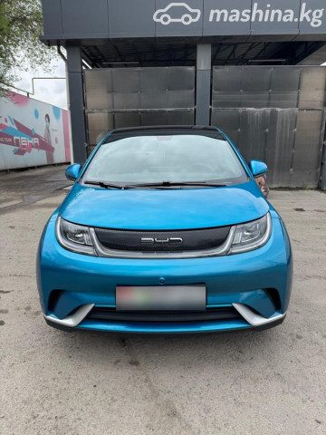 BYD Dolphin