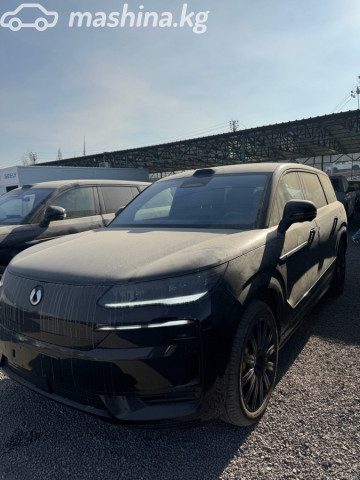 Denza N9