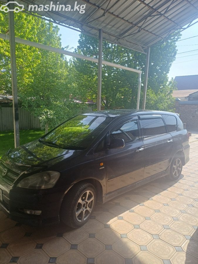 Toyota Ipsum