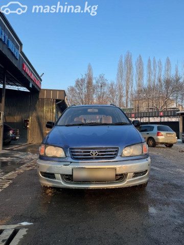 Toyota Ipsum