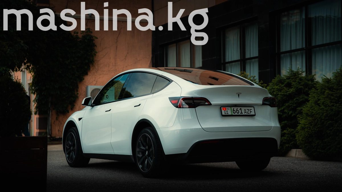 Tesla Model Y I