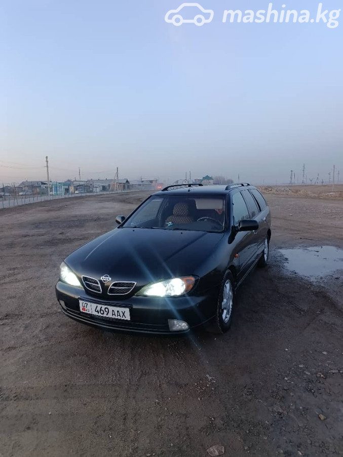 Ещё фото