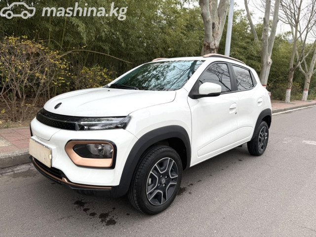 Dongfeng EX1 Nano Box EV