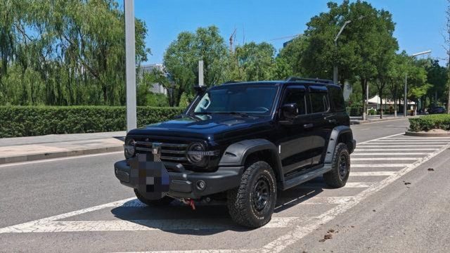 Tank 300