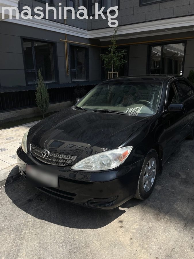 Toyota Camry V (XV30) 2002