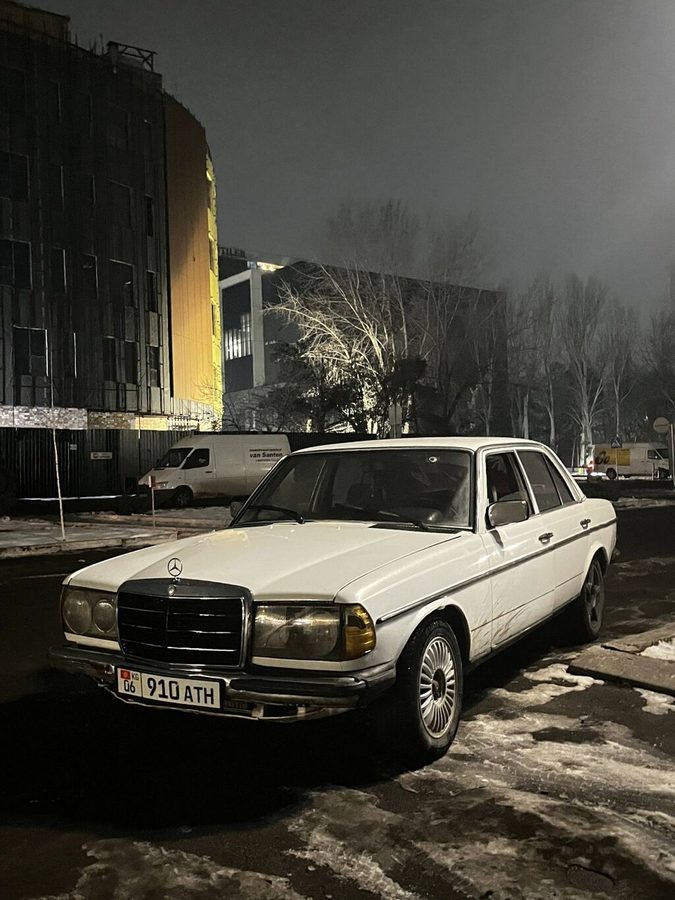 Mercedes-Benz W123