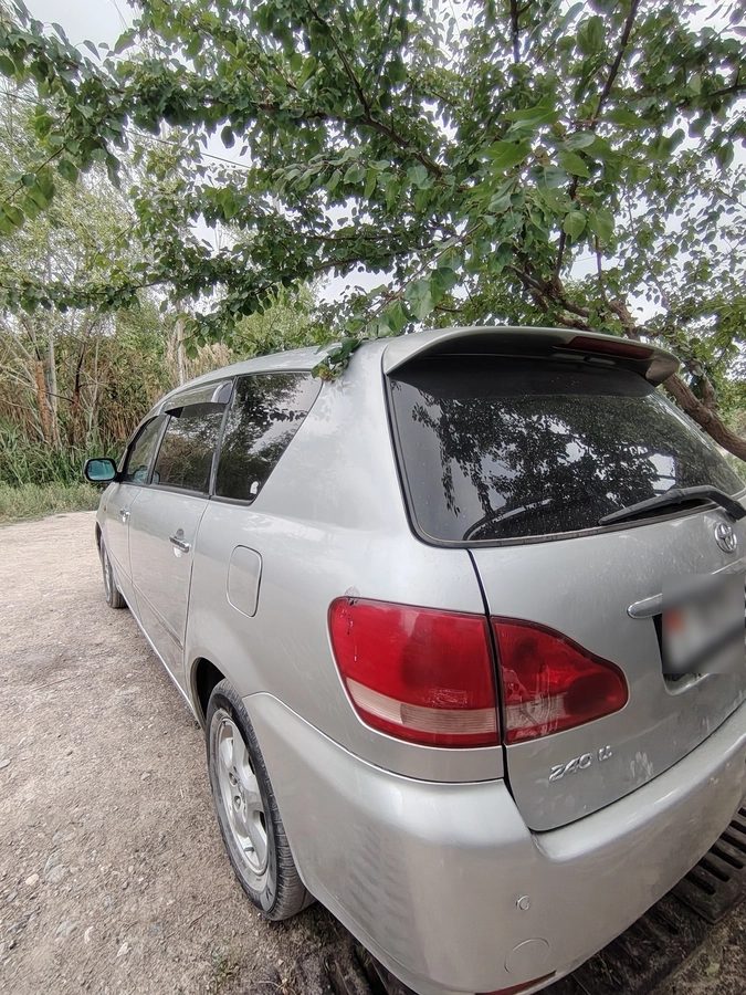 Toyota Ipsum II (M20) 2001