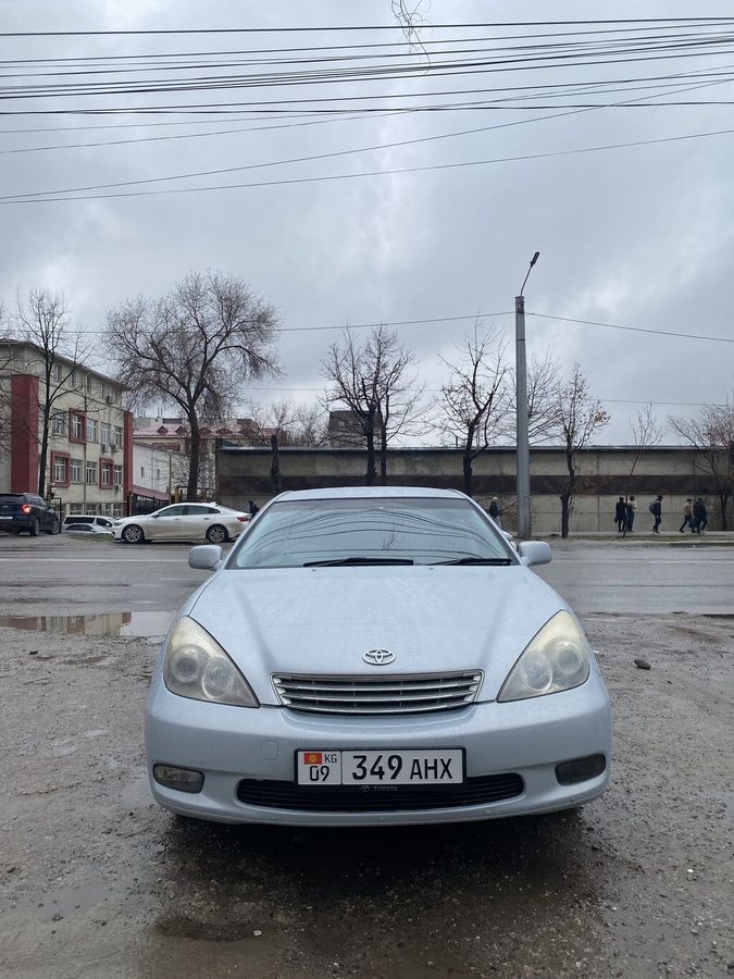 Toyota Windom