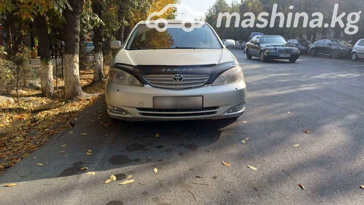 Toyota Camry V (XV30)