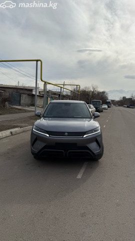 BYD Yuan Up