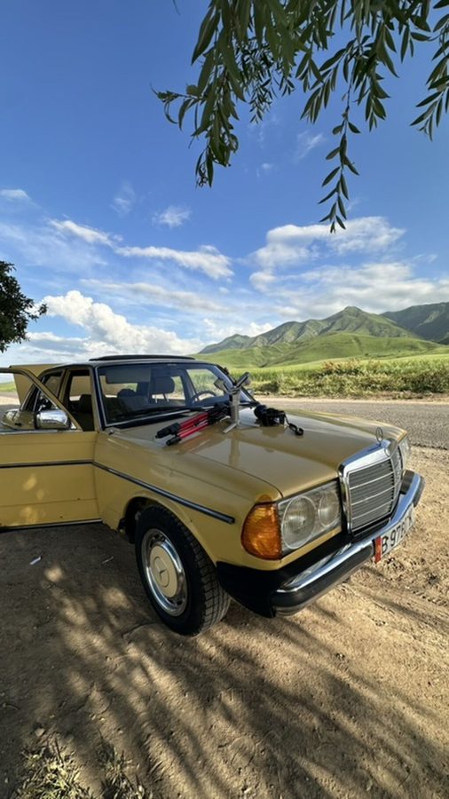 Mercedes-Benz W123