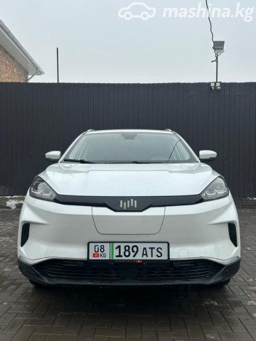 Weltmeister EX5