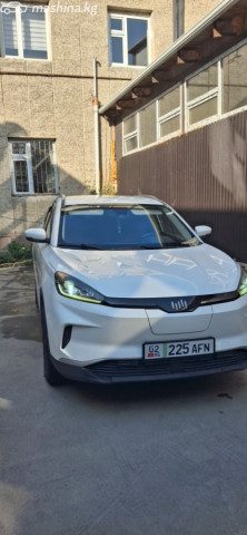 Weltmeister EX5