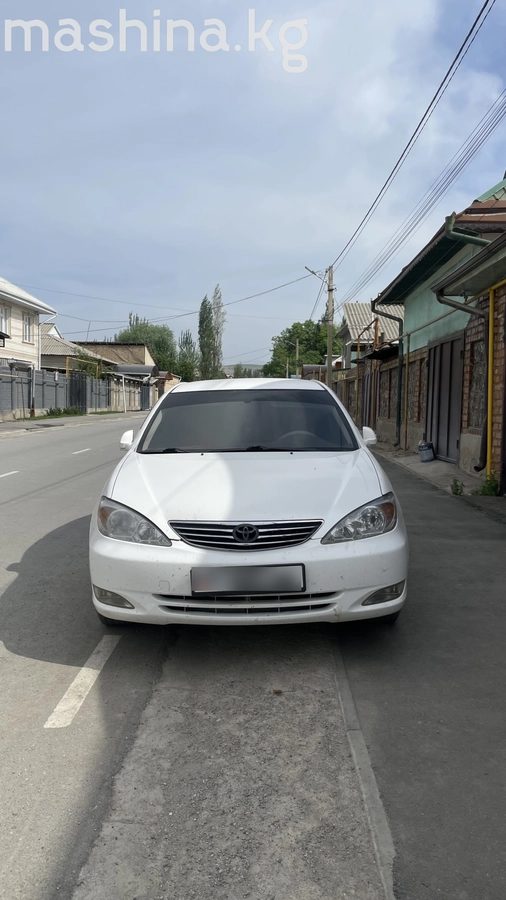 Toyota Camry V (XV30) 2004