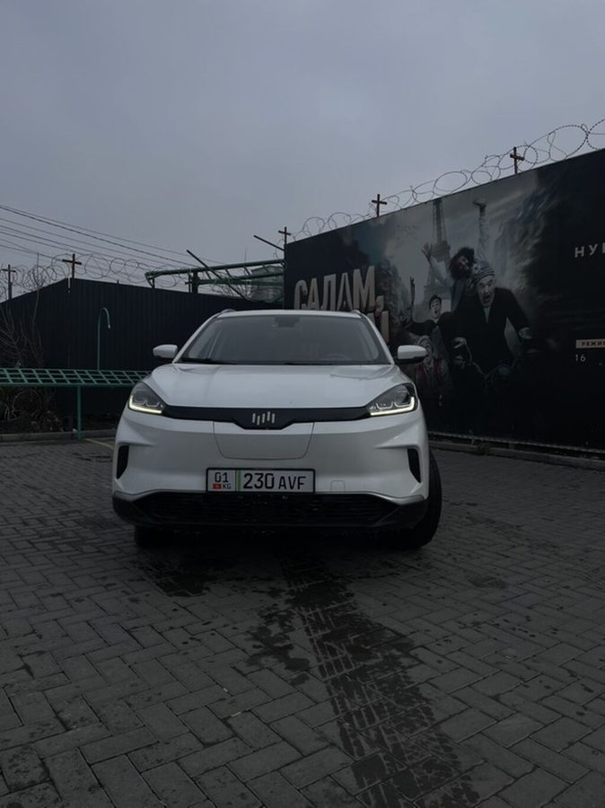 Weltmeister EX5, 2020 г., 81000 км, AWD, полный, В наличии