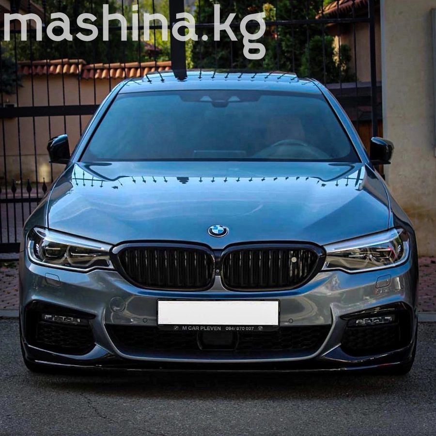 BMW 5 серии VII (G30/G31) 2019